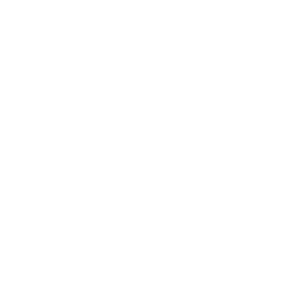 Adjuntar
